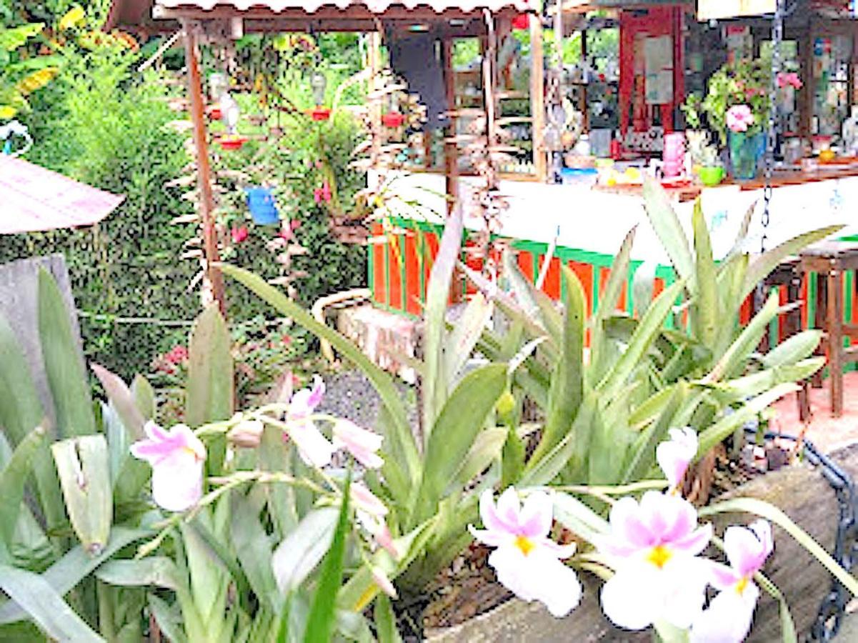 Hostal Estrella De Agua Salento Exteriér fotografie
