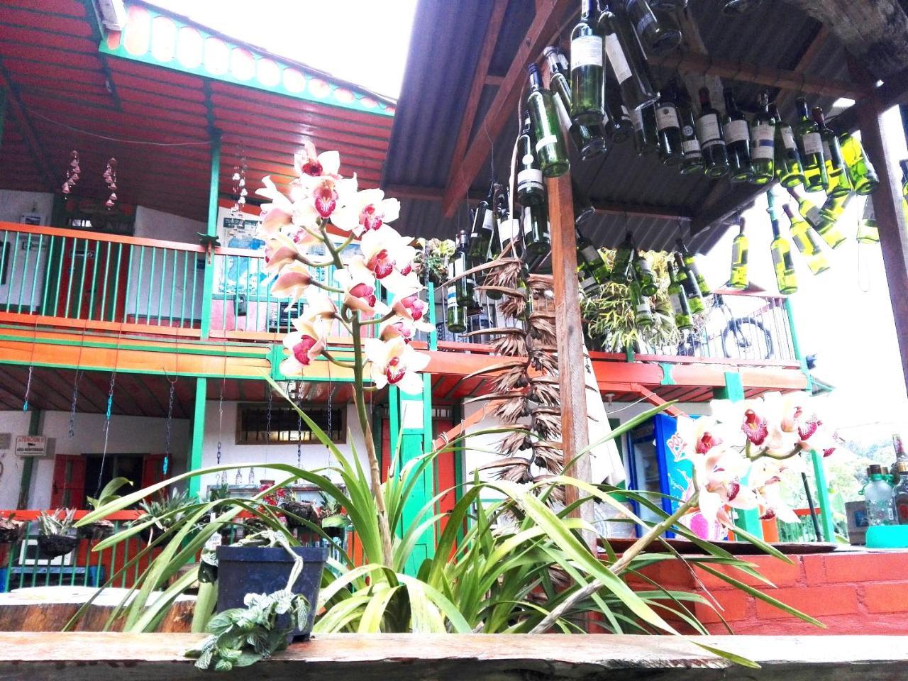 Hostal Estrella De Agua Salento Exteriér fotografie